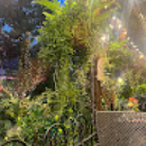 Meet your Posher, Shaiel